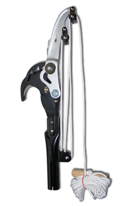 škare za teleskopsku pilu Silky Hayauchi Sintung 50mm